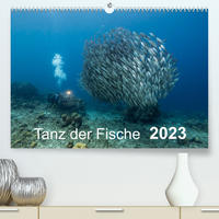 Tanz der Fische (Premium, hochwertiger DIN A2 Wandkalender 2023, Kunstdruck in Hochglanz)