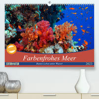 Farbenfrohes Meer (Premium, hochwertiger DIN A2 Wandkalender 2023, Kunstdruck in Hochglanz)