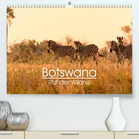 Botswana - Ruf der Wildnis (Premium, hochwertiger DIN A2 Wandkalender 2023, Kunstdruck in Hochglanz)