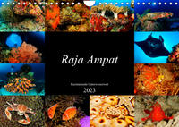 Raja Ampat - Faszinierende Unterwasserwelt (Wandkalender 2023 DIN A4 quer)