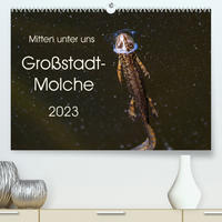 Mitten unter uns - Großstadt-Molche (Premium, hochwertiger DIN A2 Wandkalender 2023, Kunstdruck in Hochglanz)