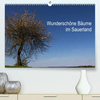 Wunderschöne Bäume im Sauerland (Premium, hochwertiger DIN A2 Wandkalender 2023, Kunstdruck in Hochglanz)