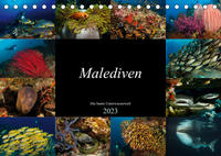 Malediven - Die bunte Unterwasserwelt (Tischkalender 2023 DIN A5 quer)