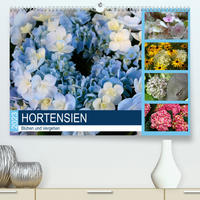 Hortensien Blühen und Vergehen (Premium, hochwertiger DIN A2 Wandkalender 2023, Kunstdruck in Hochglanz)