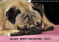 Alles Mops-Kalender 2023 (Wandkalender 2023 DIN A4 quer)