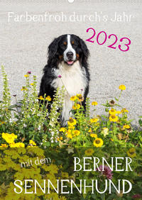 Farbenfroh durch's Jahr mit dem Berner Sennenhund (Wandkalender 2023 DIN A2 hoch)