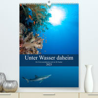 Unter Wasser daheim (Premium, hochwertiger DIN A2 Wandkalender 2023, Kunstdruck in Hochglanz)