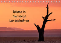 Bäume in Namibias Landschaften (Tischkalender 2023 DIN A5 quer)