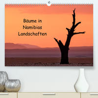Bäume in Namibias Landschaften (Premium, hochwertiger DIN A2 Wandkalender 2023, Kunstdruck in Hochglanz)
