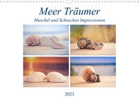 Meer Träumer - Muscheln und Schnecken Impressionen (Wandkalender 2023 DIN A3 quer)