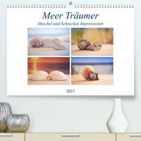 Meer Träumer - Muscheln und Schnecken Impressionen (Premium, hochwertiger DIN A2 Wandkalender 2023, Kunstdruck in Hochglanz)