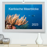 Karibische Meerblicke (Premium, hochwertiger DIN A2 Wandkalender 2023, Kunstdruck in Hochglanz)