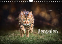 Bengalen Outdoor und Action (Wandkalender 2023 DIN A4 quer)