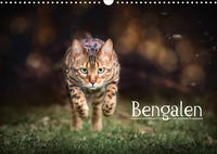 Bengalen Outdoor und Action (Wandkalender 2023 DIN A3 quer)
