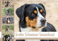 Großer Schweizer Sennenhund (Tischkalender 2023 DIN A5 quer)