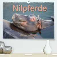 Nilpferde, Kolosse im Wasser (Premium, hochwertiger DIN A2 Wandkalender 2023, Kunstdruck in Hochglanz)