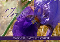 Iris - mondäne Gartenschönheit (Wandkalender 2023 DIN A3 quer)