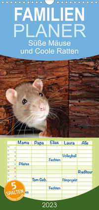Familienplaner Süße Mäuse und Coole Ratten (Wandkalender 2023 , 21 cm x 45 cm, hoch)