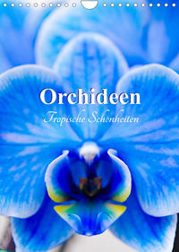 Orchideen - Tropische Schönheiten (Wandkalender 2023 DIN A4 hoch)