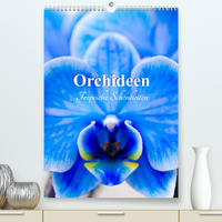 Orchideen - Tropische Schönheiten (Premium, hochwertiger DIN A2 Wandkalender 2023, Kunstdruck in Hochglanz)