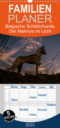 Familienplaner Belgische Schäferhunde - Der Malinois im Licht (Wandkalender 2023 , 21 cm x 45 cm, hoch)