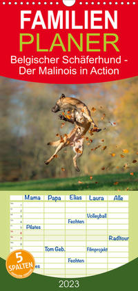 Familienplaner Belgischer Schäferhund - Der Malinois in Action (Wandkalender 2023 , 21 cm x 45 cm, hoch)