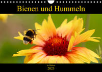Bienen und Hummeln in Aktion (Wandkalender 2023 DIN A4 quer)