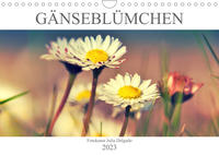 Gänseblümchen Poesie (Wandkalender 2023 DIN A4 quer)