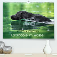 Labradore im Wasser (Premium, hochwertiger DIN A2 Wandkalender 2023, Kunstdruck in Hochglanz)
