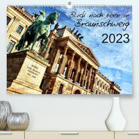 Blick nach oben in Braunschweig (Premium, hochwertiger DIN A2 Wandkalender 2023, Kunstdruck in Hochglanz)
