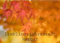 Lieblingsfarbe Herbst (Wandkalender 2023 DIN A2 quer)