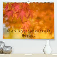 Lieblingsfarbe Herbst (Premium, hochwertiger DIN A2 Wandkalender 2023, Kunstdruck in Hochglanz)