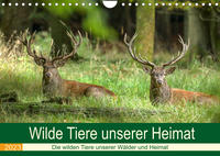 Wilde Tiere unserer Heimat (Wandkalender 2023 DIN A4 quer)