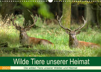 Wilde Tiere unserer Heimat (Wandkalender 2023 DIN A3 quer)