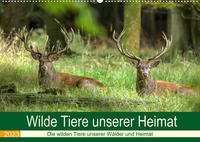 Wilde Tiere unserer Heimat (Wandkalender 2023 DIN A2 quer)