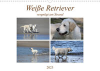 Weiße Retriever vergnügt am Strand (Wandkalender 2023 DIN A3 quer)
