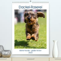 Dackel-Raserei (Premium, hochwertiger DIN A2 Wandkalender 2023, Kunstdruck in Hochglanz)