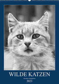 Wilde Katzen - Korsikas Samtpfoten (Wandkalender 2023 DIN A2 hoch)