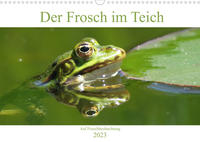 Der Frosch im Teich - auf Froschbeobachtung (Wandkalender 2023 DIN A3 quer)