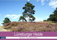 Lüneburger Heide - Die Tier- und Pfanzenwelt (Wandkalender 2023 DIN A2 quer)