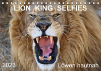 LION KING SELFIES Löwen hautnah (Tischkalender 2023 DIN A5 quer)