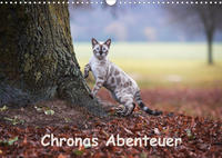 Chronas Abenteuer (Wandkalender 2023 DIN A3 quer)