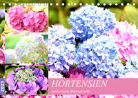 Hortensien. Zauberhafte Blütenpracht (Tischkalender 2023 DIN A5 quer)