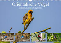 Orientalische Vögel - Thailands bunte Vogelwelt (Wandkalender 2023 DIN A3 quer)