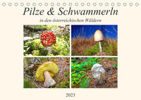 Pilze & Schwammerln (Tischkalender 2023 DIN A5 quer)