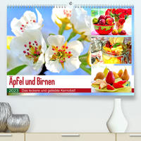 Äpfel und Birnen. Das leckere und geliebte Kernobst! (Premium, hochwertiger DIN A2 Wandkalender 2023, Kunstdruck in Hochglanz)