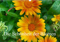 Die Schönheit der Blumen (Wandkalender 2023 DIN A3 quer)