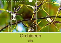 Orchideen Bildergalerie (Wandkalender 2023 DIN A4 quer)