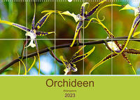 Orchideen Bildergalerie (Wandkalender 2023 DIN A2 quer)