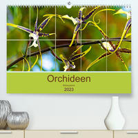 Orchideen Bildergalerie (Premium, hochwertiger DIN A2 Wandkalender 2023, Kunstdruck in Hochglanz)